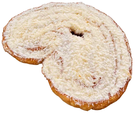 Palmera de Coco